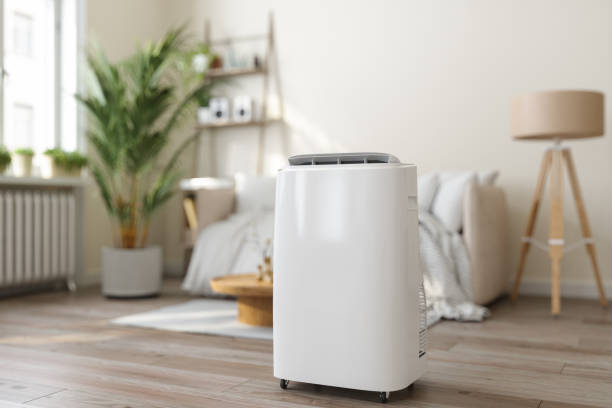 Best Furnace Cleaning in Roberta, GA